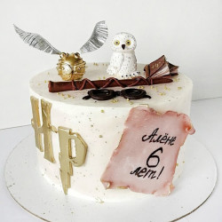 Торт Harry Potter на 6 лет