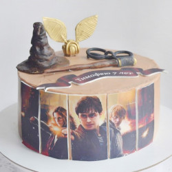 Торт Гарри Поттер на 7 лет