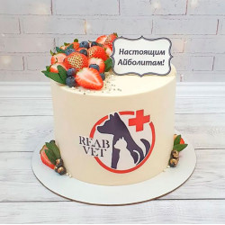 Торт ветеринарному врачу