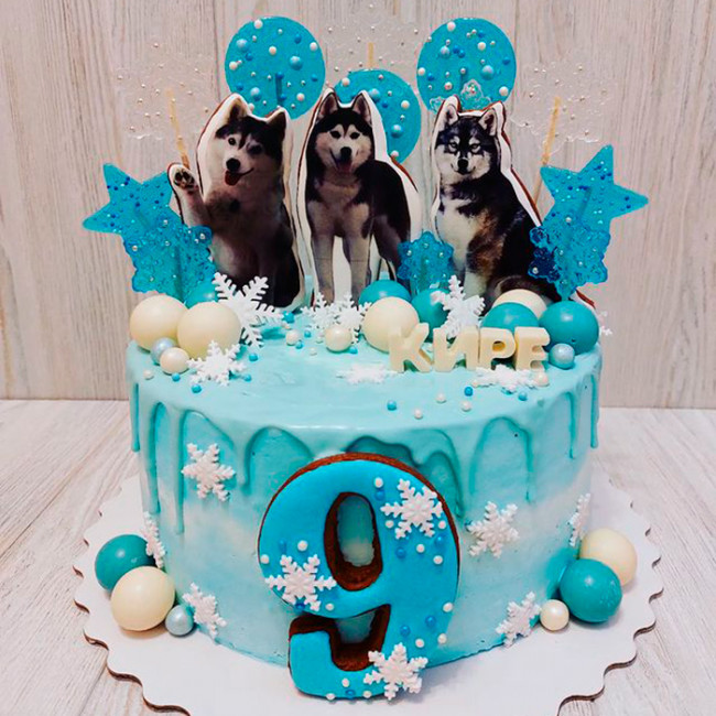 Торт с хаски на 9 лет